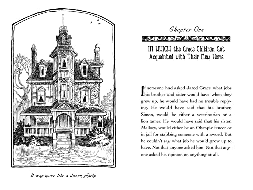 The Field Guide (1) (The Spiderwick Chronicles) book image