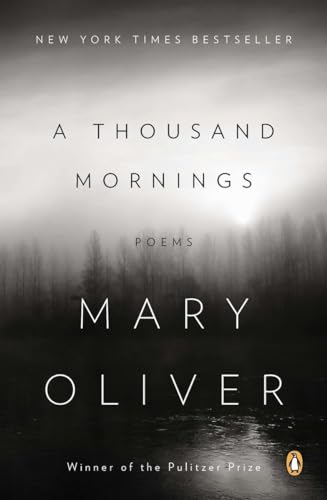 A Thousand Mornings cover