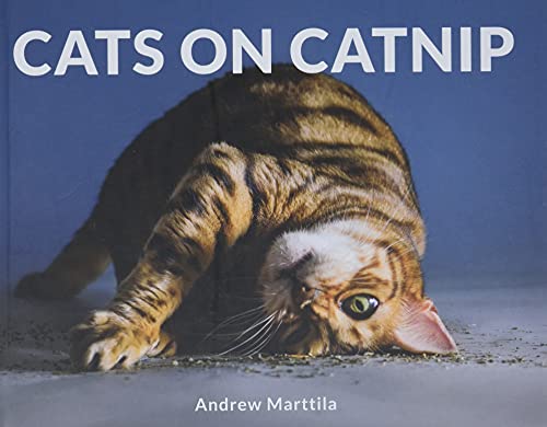 Cats on Catnip cover