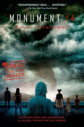 Book Title 14 cover