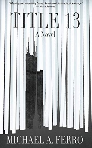 Book Title 13 cover